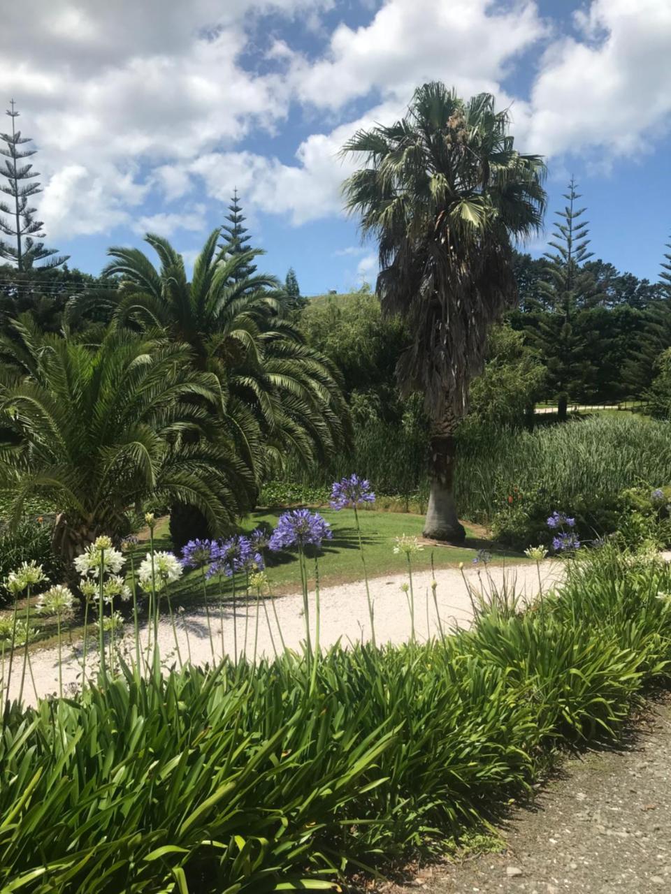 Paradise Grove Whangamata Exterior photo