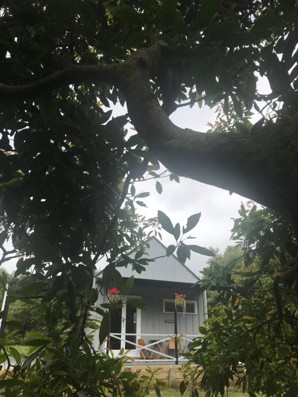 Paradise Grove Whangamata Exterior photo