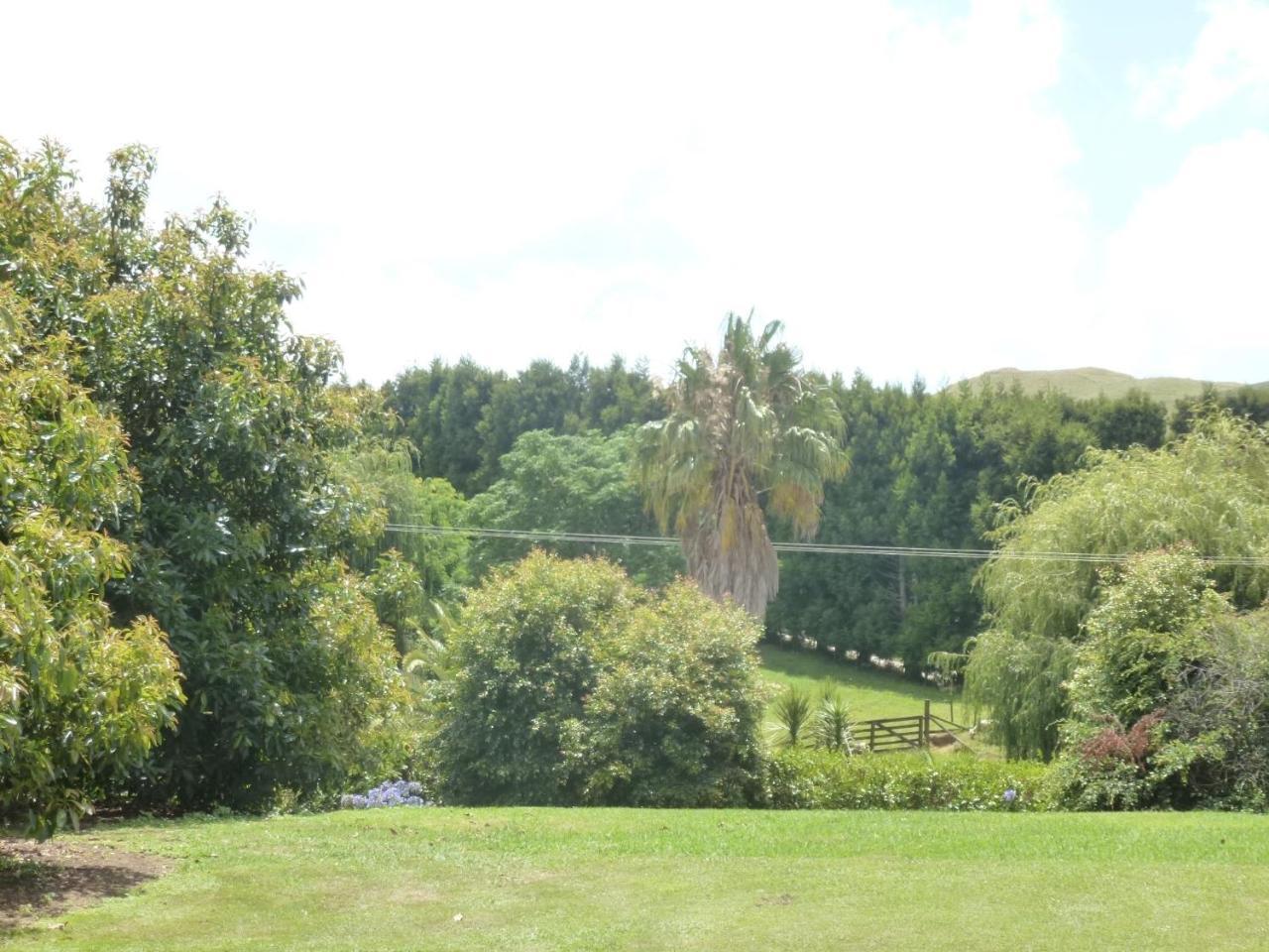 Paradise Grove Whangamata Exterior photo